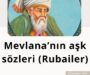 Mevlana’nın aşk sözleri (Rubailer)
