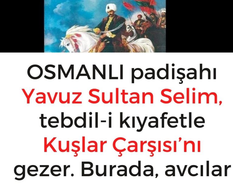 OSMANLI padişahı Yavuz Sultan Selim, tebdil-i kıyafetle Kuşlar Çarşısı’nı gezer.  Burada, avcılar avladıkları