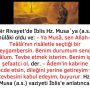 Allah Teala, Hz Adem ile Havva’yı yasak ağaçtan yedikleri için yanından nasıl uzaklaşırdı Çünkü Adem azaba uğrayacağını sanmaktaydı. Başını önüne eğip -‘Af, af!’ dedi. Allah da – 2022-12-24T200645.799