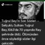tuğrul bey
