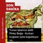 pirinç boğa