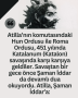 Sarı (30)
