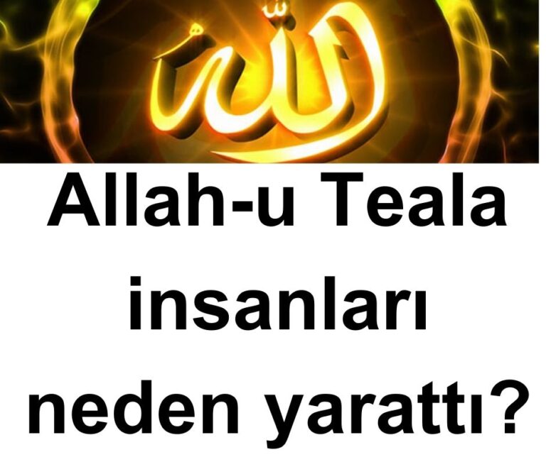 Allah-u Teala insanları neden yarattı?