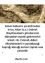 hz adem