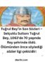 tuğrul bey