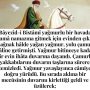 Allah Teala, Hz Adem ile Havva’yı yasak ağaçtan yedikleri için yanından nasıl uzaklaşırdı Çünkü Adem azaba uğrayacağını sanmaktaydı. Başını önüne eğip -‘Af, af!’ dedi. Allah da – 2022-12-13T160240.835