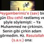 Allah Teala, Hz Adem ile Havva’yı yasak ağaçtan yedikleri için yanından nasıl uzaklaşırdı Çünkü Adem azaba uğrayacağını sanmaktaydı. Başını önüne eğip -‘Af, af!’ dedi. Allah da – 2022-12-23T153557.086