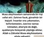 hz musa