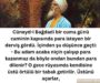 cüneydi bağdadi