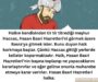 hasan basri