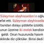 White Professional Breaking News Facebook Post – 2022-11-21T173953.841