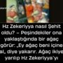 Allah Teala, Hz Adem ile Havva’yı yasak ağaçtan yedikleri için yanından nasıl uzaklaşırdı Çünkü Adem azaba uğrayacağını sanmaktaydı. Başını önüne eğip -‘Af, af!’ dedi. Allah da – 2023-10-01T093839.051