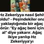 Allah Teala, Hz Adem ile Havva’yı yasak ağaçtan yedikleri için yanından nasıl uzaklaşırdı Çünkü Adem azaba uğrayacağını sanmaktaydı. Başını önüne eğip -‘Af, af!’ dedi. Allah da (91)