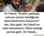 hz yakub