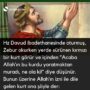 hz davud
