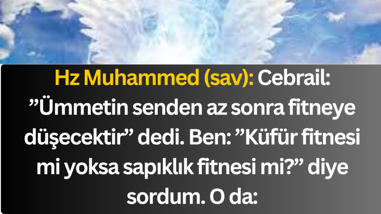 Hz Muhammed (sav): Cebrail: ”Ümmetin senden az sonra fitneye düşecektir” dedi. Ben: ”Küfür fitnesi mi yoksa sapıklık fitnesi mi?” diye sordum. O da: