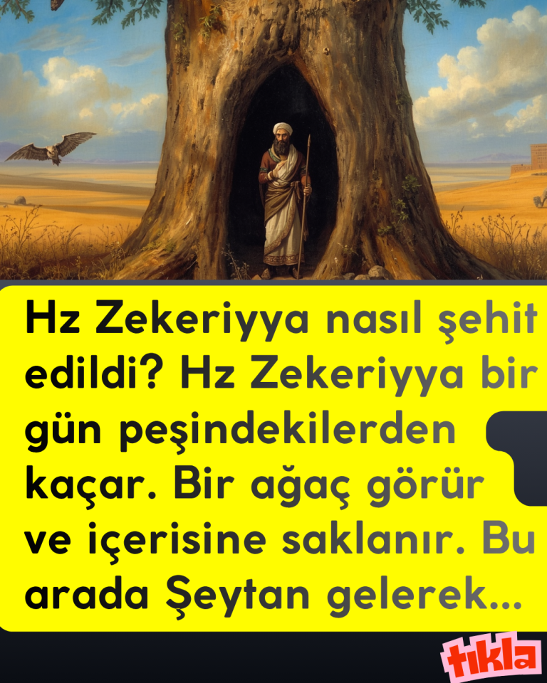 Hz Zekeriyya nasıl şehit edildi? Hz Zekeriyya bir gün peşindekilerden kaçar. Bir ağaç görür ve içerisine saklanır. Bu arada Şeytan gelerek…