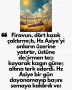 Sarı (36)