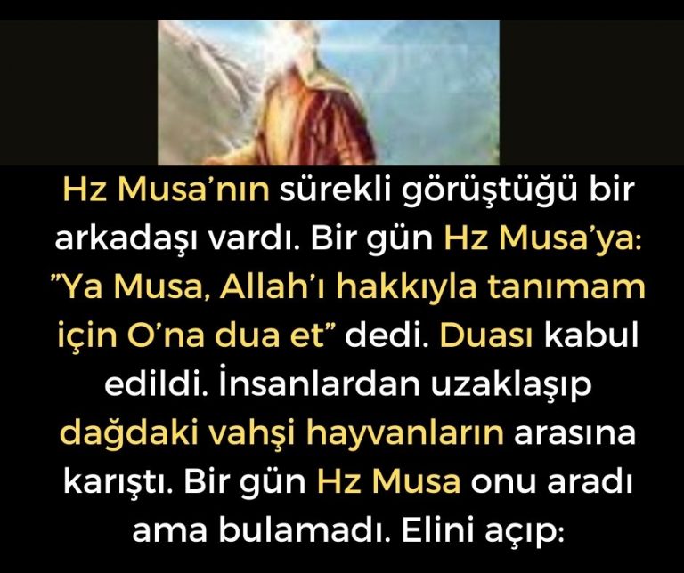 Hz Musa’nın sürekli görüştüğü bir arkadaşı vardı. Bir gün Hz Musa’ya: ”Ya Musa, Allah’ı hakkıyla tanımam için O’na dua et” dedi. Duası kabul edildi. İnsanlardan uzaklaşıp dağdaki vahşi hayvanların arasına karıştı. Bir gün Hz Musa onu aradı ama bulamadı. Elini açıp: