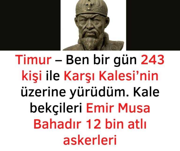 Timur – Ben bir gün 243 kişi ile Karşı Kalesi’nin üzerine yürüdüm. Kale bekçileri Emir Musa Bahadır 12 bin atlı askerleri