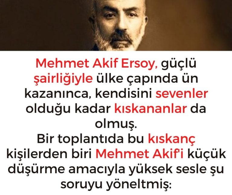 Mehmet Akif Ersoy, güçlü şairliğiyle ülke çapında ün kazanınca, kendisini sevenler olduğu kadar kıskananlar da olmuş.  Bir toplantıda bu kıskanç kişilerden biri Mehmet Akif’i küçük düşürme amacıyla yüksek sesle şu soruyu yöneltmiş: