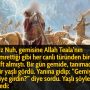 indir (22)
