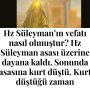 Allah Teala, Hz Adem ile Havva’yı yasak ağaçtan yedikleri için yanından nasıl uzaklaşırdı Çünkü Adem azaba uğrayacağını sanmaktaydı. Başını önüne eğip -‘Af, af!’ dedi. Allah da – 2022-12-13T122159.280