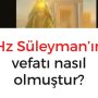 Allah Teala, Hz Adem ile Havva’yı yasak ağaçtan yedikleri için yanından nasıl uzaklaşırdı Çünkü Adem azaba uğrayacağını sanmaktaydı. Başını önüne eğip -‘Af, af!’ dedi. Allah da (73)