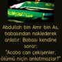 Abdullah bin Amr bin As, babasından naklederek anlatır: Babası kendine sorar:  ”Acaba can çekişenler, ölümü niçin anlatmazlar?”