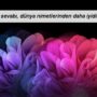 Hz Muhammed (sav) – Dört şey vardır ki ameli yedi yüze çıkartılır: