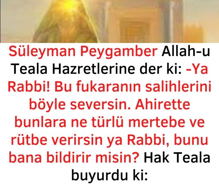 Süleyman Peygamber Allah-u Teala Hazretlerine der ki:  -Ya Rabbi! Bu fukaranın salihlerini böyle seversin. Ahirette bunlara ne türlü mertebe ve rütbe verirsin ya Rabbi, bunu bana bildirir misin?  Hak Teala buyurdu ki:
