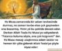 hz musa