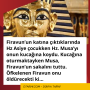 Design (13)