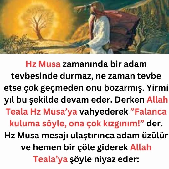hz musa