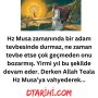 HZ MUSA