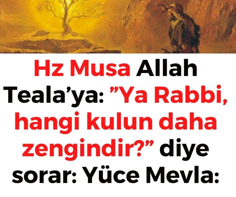 Hz Musa Allah Teala’ya: ”Ya Rabbi, hangi kulun daha zengindir?” diye sorar: Yüce Mevla:
