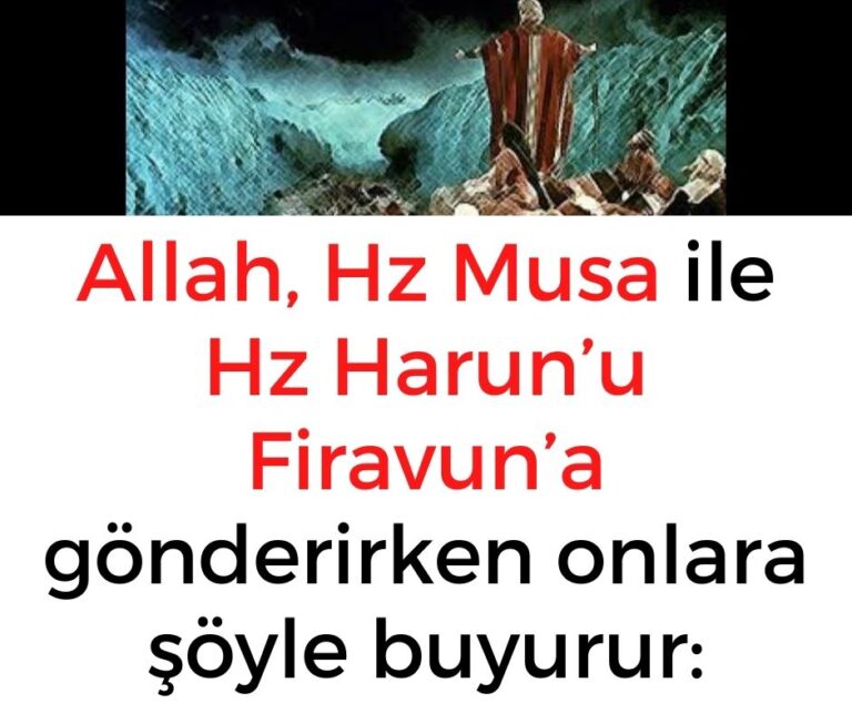 Allah, Hz Musa ile Hz Harun’u Firavun’a gönderirken onlara şöyle buyurur: