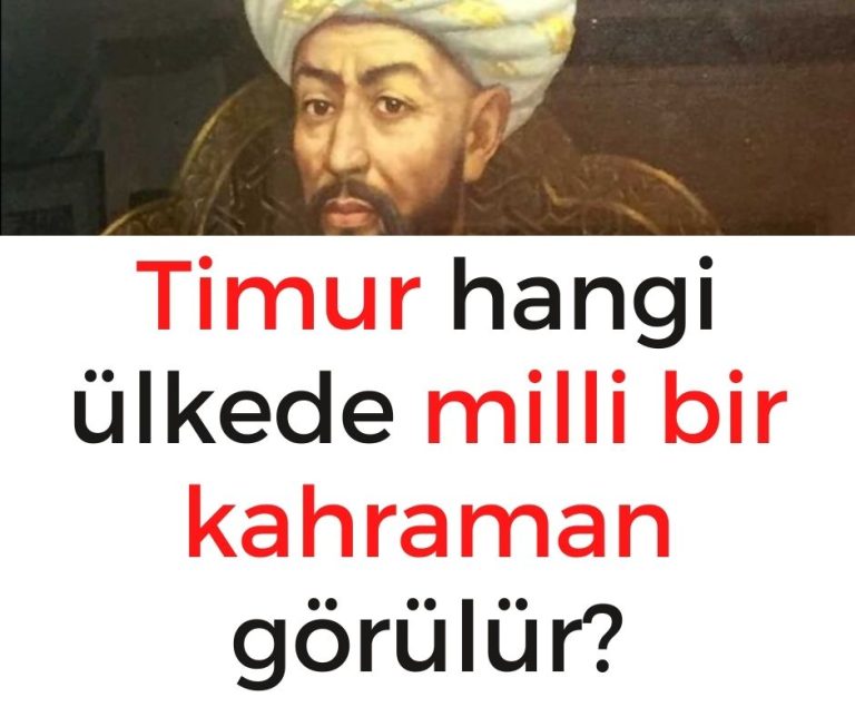 Timur hangi ülkede milli bir kahraman görülür?