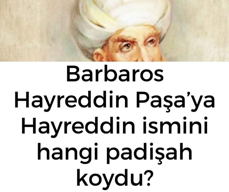 Barbaros Hayreddin Paşa’ya Hayreddin ismini hangi padişah koydu?