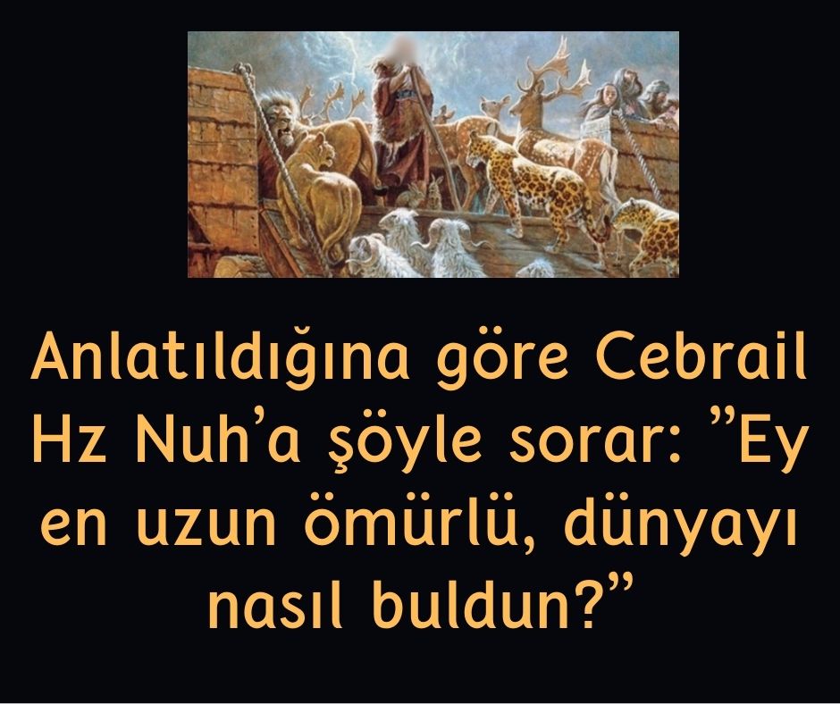 Anlatıldığına göre Cebrail Hz Nuh’a şöyle sorar: ”Ey en uzun ömürlü, dünyayı nasıl buldun?”
