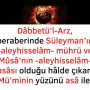 Dâbbetü’l-Arz, beraberinde Süleyman’ın -aleyhisselâm- mührü ve Mûsâ’nın -aleyhisselâm- asâsı olduğu hâlde çıkar. Mü’minin yüzünü asâ ile