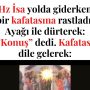 Allah Teala, Hz Adem ile Havva’yı yasak ağaçtan yedikleri için yanından nasıl uzaklaşırdı Çünkü Adem azaba uğrayacağını sanmaktaydı. Başını önüne eğip -‘Af, af!’ dedi. Allah da (54)