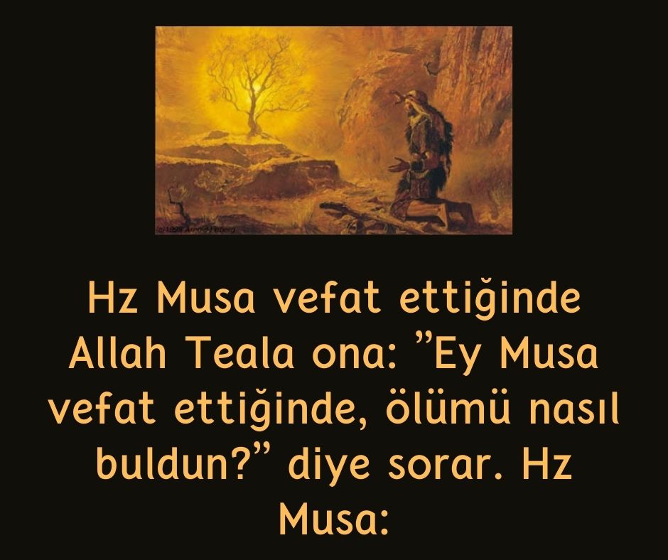 Hz Musa vefat ettiğinde Allah Teala ona: ”Ey Musa vefat ettiğinde, ölümü nasıl buldun?” diye sorar. Hz Musa: