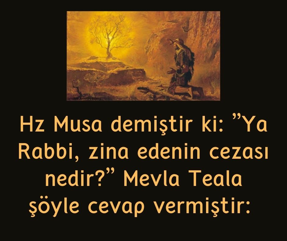 Hz Musa demiştir ki: ”Ya Rabbi, zina edenin cezası nedir?” Mevla Teala şöyle cevap vermiştir: 