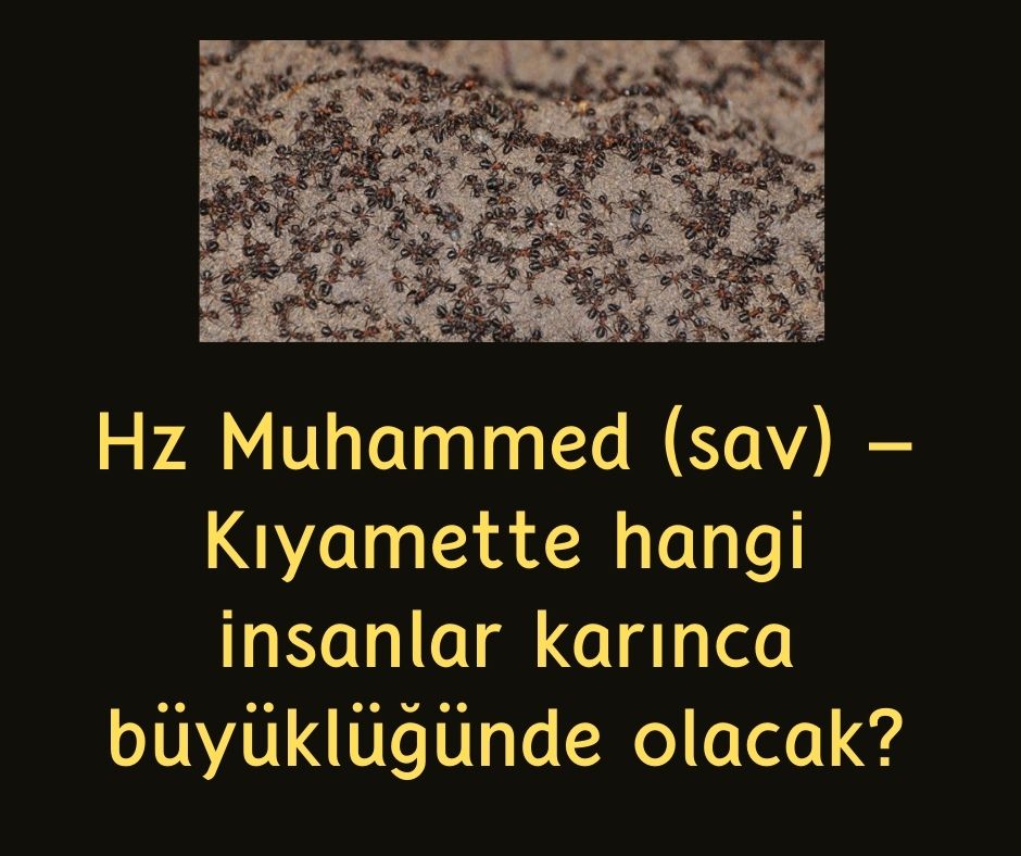 Hz Muhammed (sav) – Kıyamette hangi insanlar karınca büyüklüğünde olacak?