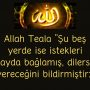 Allah Teala ”Şu beş yerde ise istekleri kayda bağlamış, dilerse vereceğini bildirmiştir:”