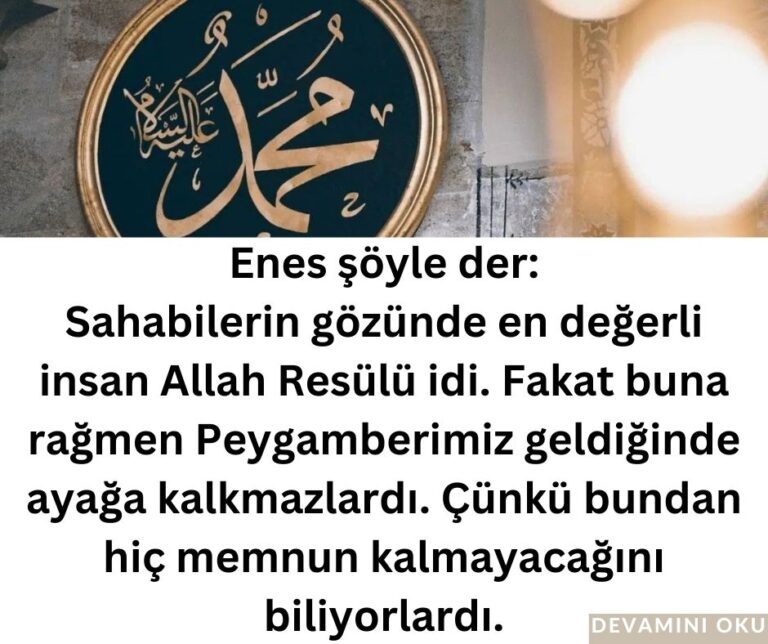 Sahabilerin gözünde en değerli insan Allah Resülü idi. Fakat buna rağmen Peygamberimiz geldiğinde ayağa kalkmazlardı. Çünkü bundan hiç memnun kalmayacağını biliyorlardı.