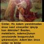HZ ADEM