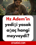 Hz Adem’in yediği yasak ağaç hangi meyveydi?