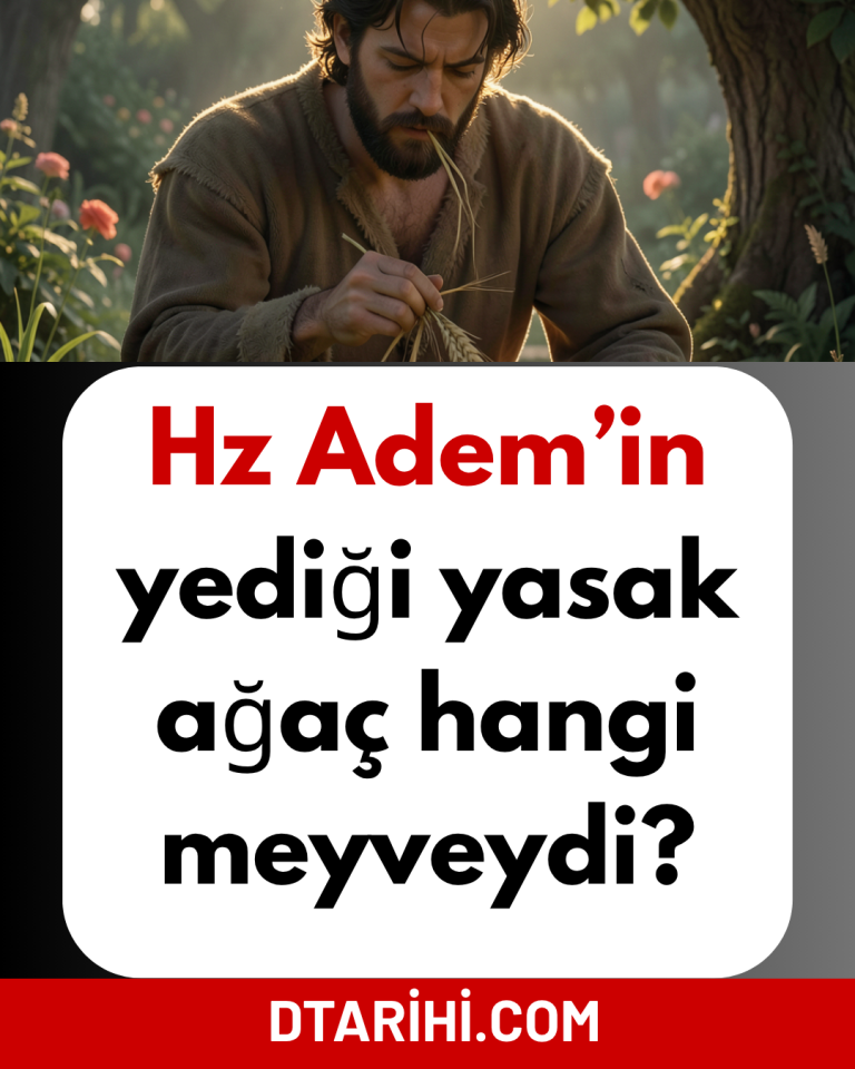 Hz Adem’in yediği yasak ağaç hangi meyveydi?